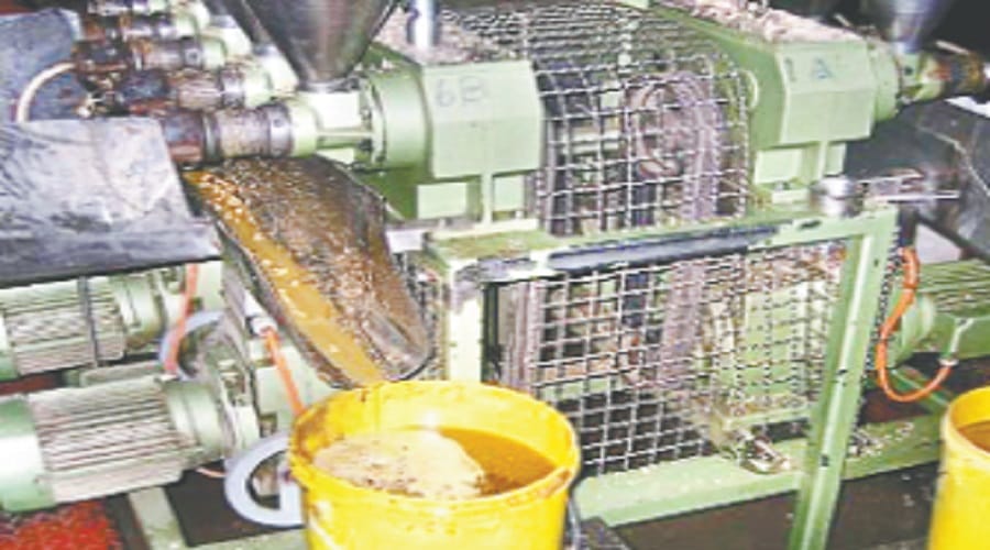 Stubborn Jatropha does not make any changes, read in one click