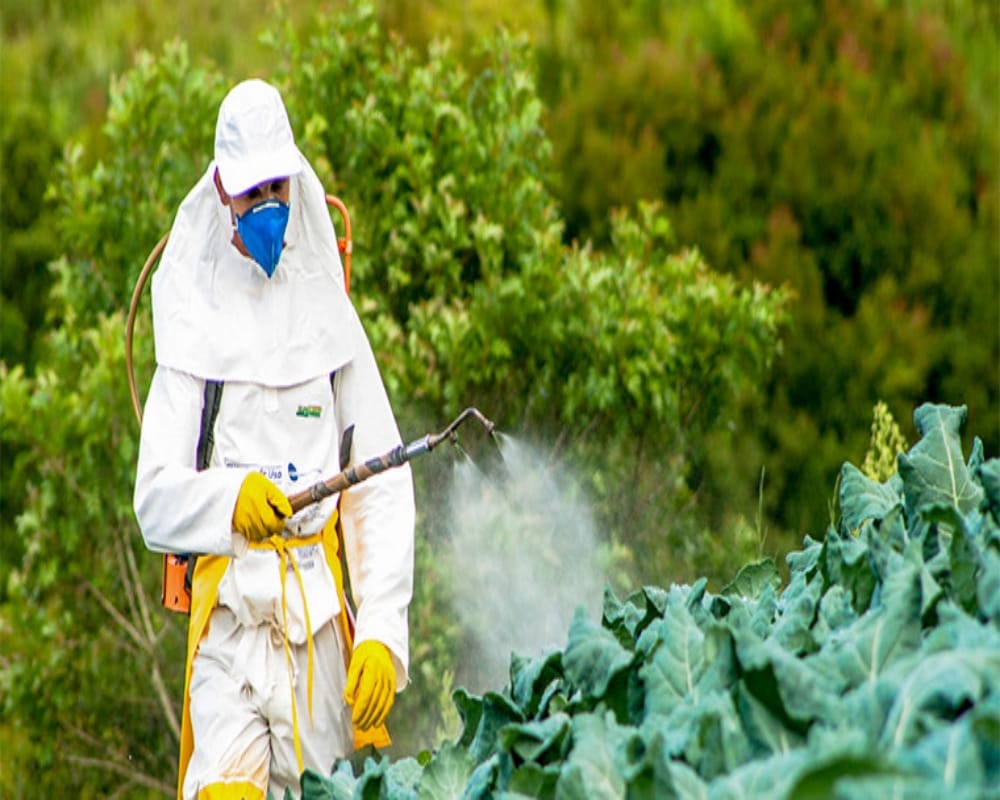 himachal pradesh pesticides board soon