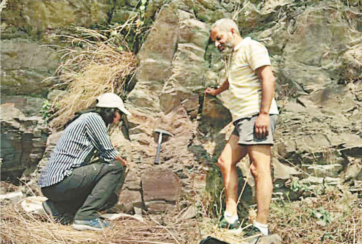 20 million years old tree fossils found in kasauli solan himachal pradesh