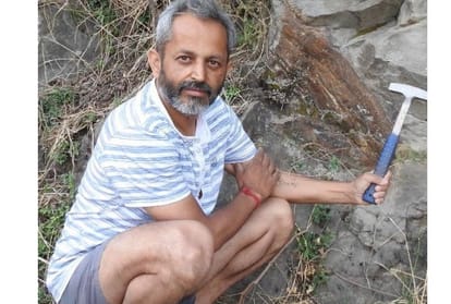 20 million years old tree fossils found in kasauli solan himachal pradesh