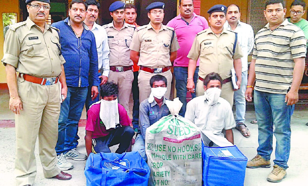  3 robbers arrested in bazpur