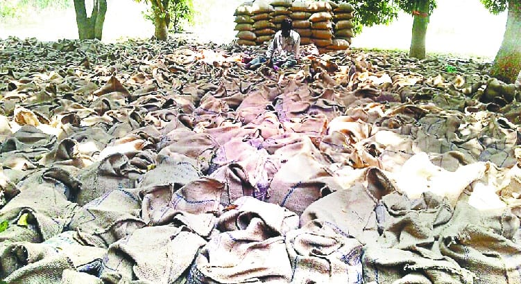 Farmers' wheat being refunded by purchasing centers