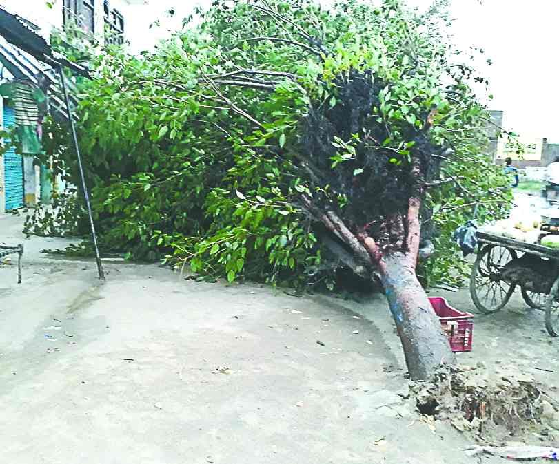 Three killed, including two sisters, storm hits