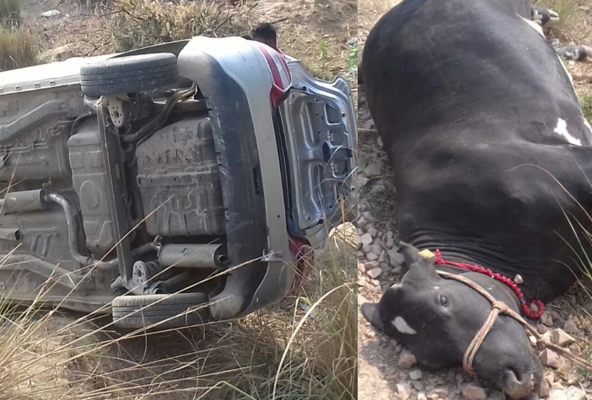 high speed car hit the peoples in sultanpur, three dead 