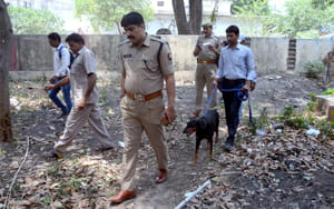 Professional Thieves were aware of the racket of the bank