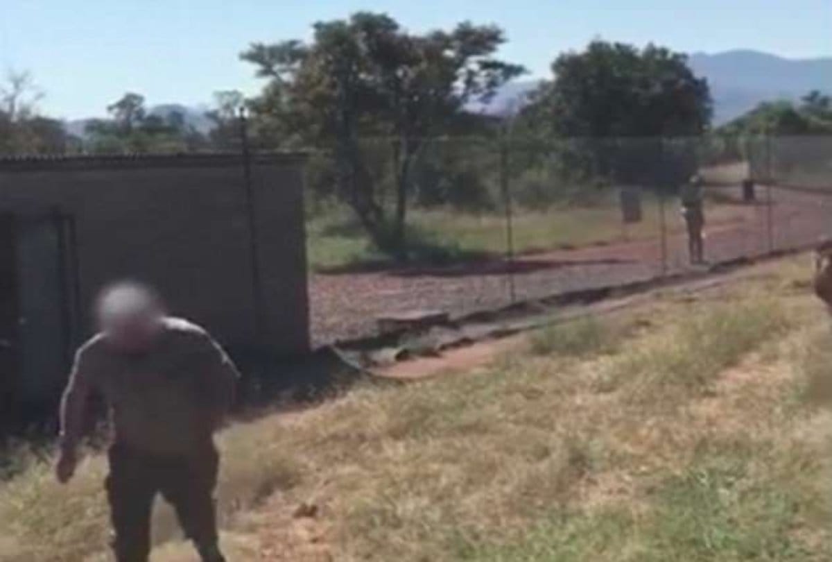 Video Being Viral of a lion attack on wildlife park owner at South Africa
