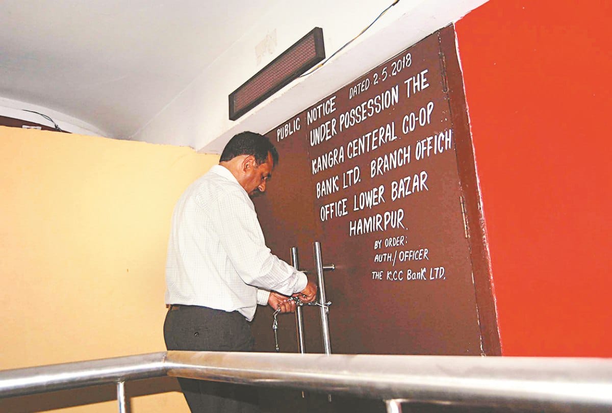 kangra central cooperative bank seal mall and cinema in hamirpur