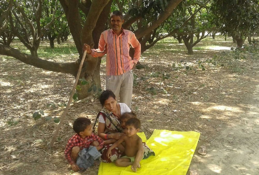 people are killing dogs in sitapur.