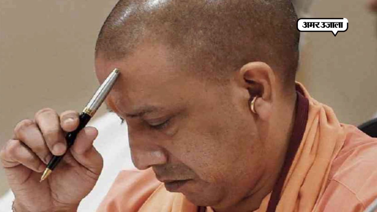 YOGI