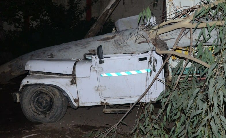 three killed in storm