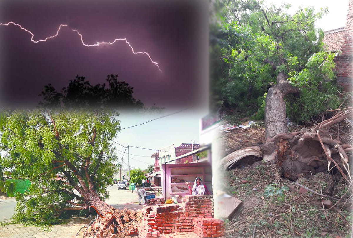 due to rain and strom these districts of Central UP are most affected