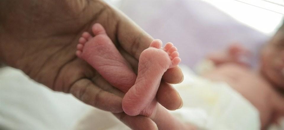 Dog  Ate newborn dead body found on road in dehradun