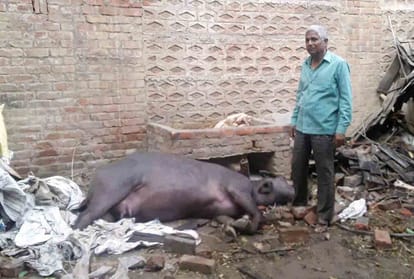 Heavy rain and storm in Uttar Pradesh