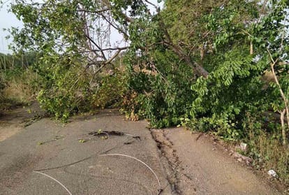 Heavy rain and storm in Uttar Pradesh