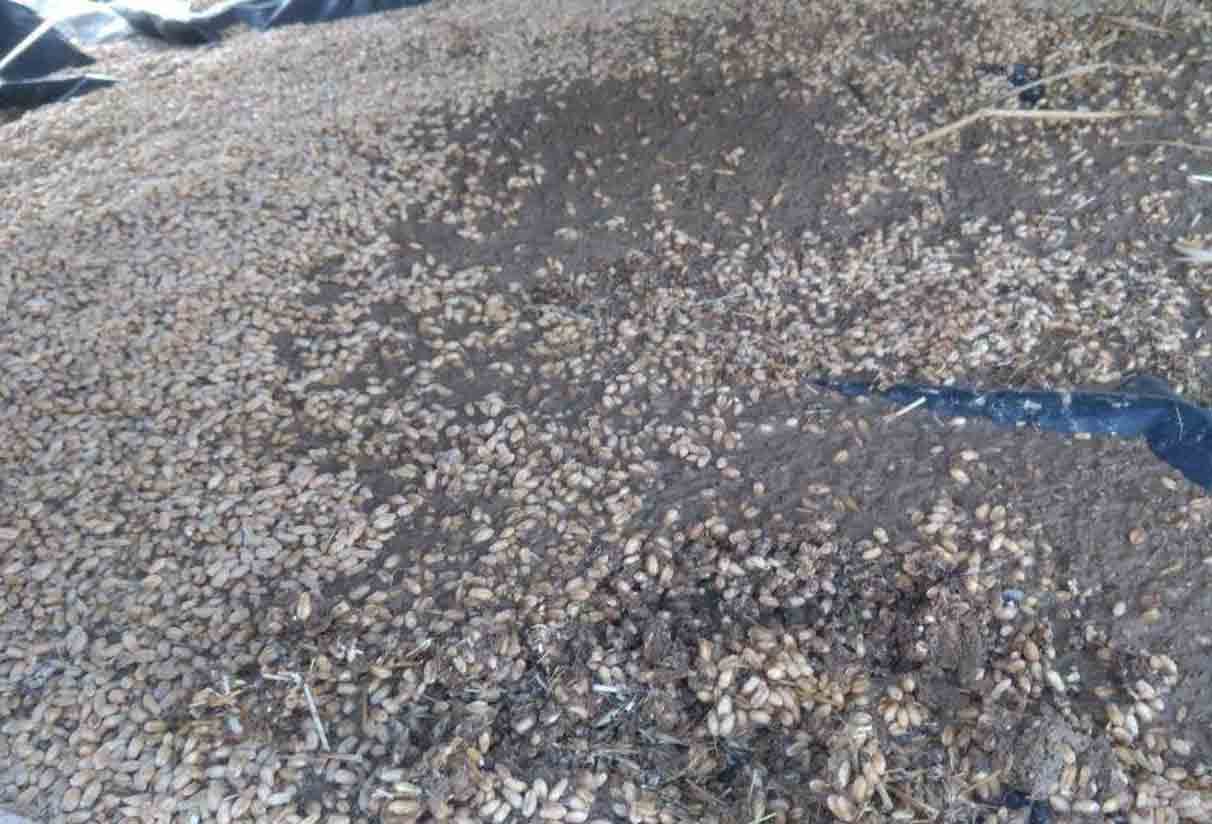 Thunderstorm and heavy rain with hail storm alert in uttarakhand