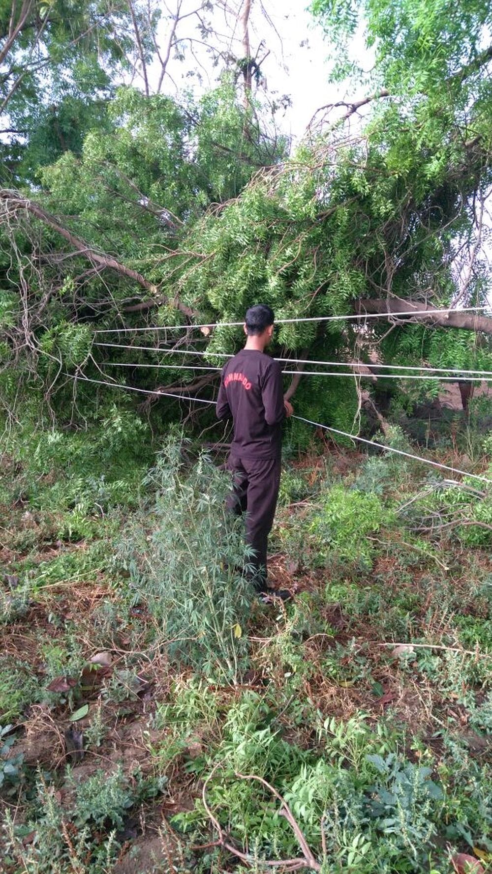 agra thirty six people died due to storm  