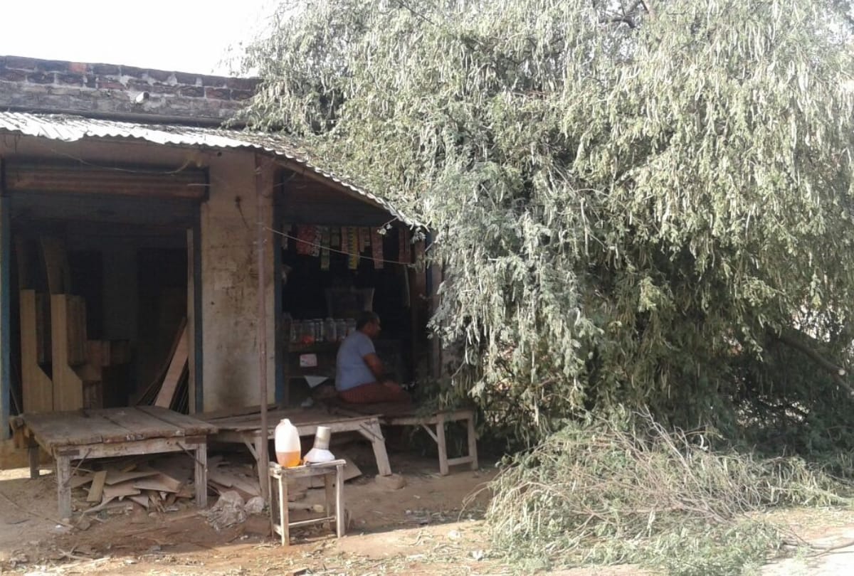 heavy loss due to storm and rain in uttar pradesh 