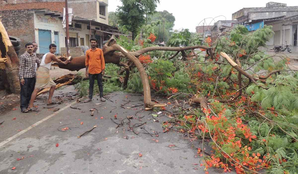 thunderstorm and rain killed five person in purvanchal