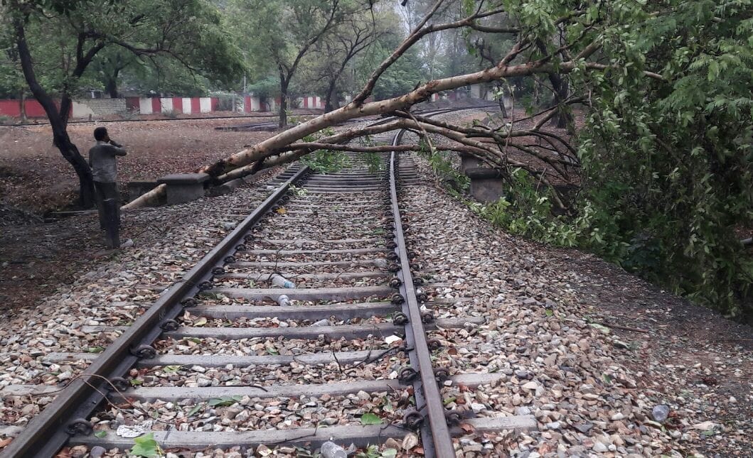 thunderstorm and rain killed five person in purvanchal