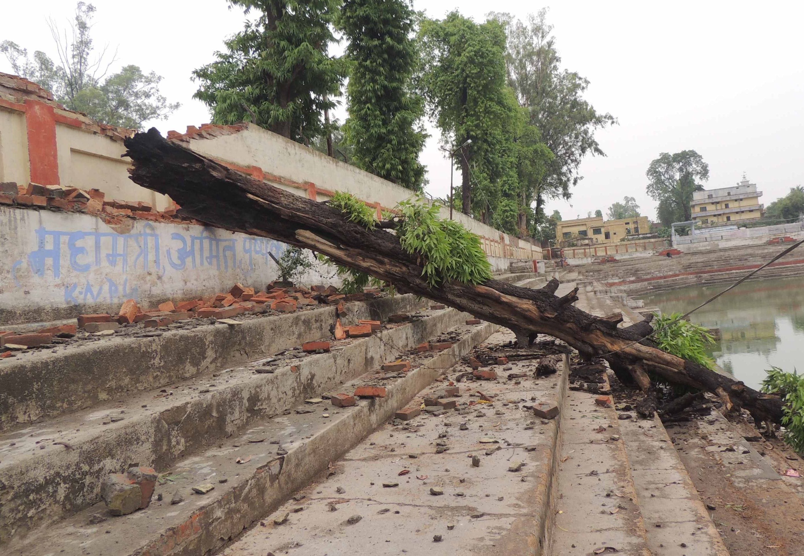 thunderstorm and rain killed five person in purvanchal