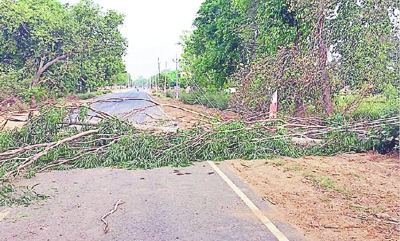Loss of 40 lakhs from storm