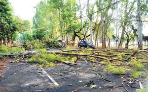 Winds of 90 kmph per hour, fallen trees, pillars, one's death