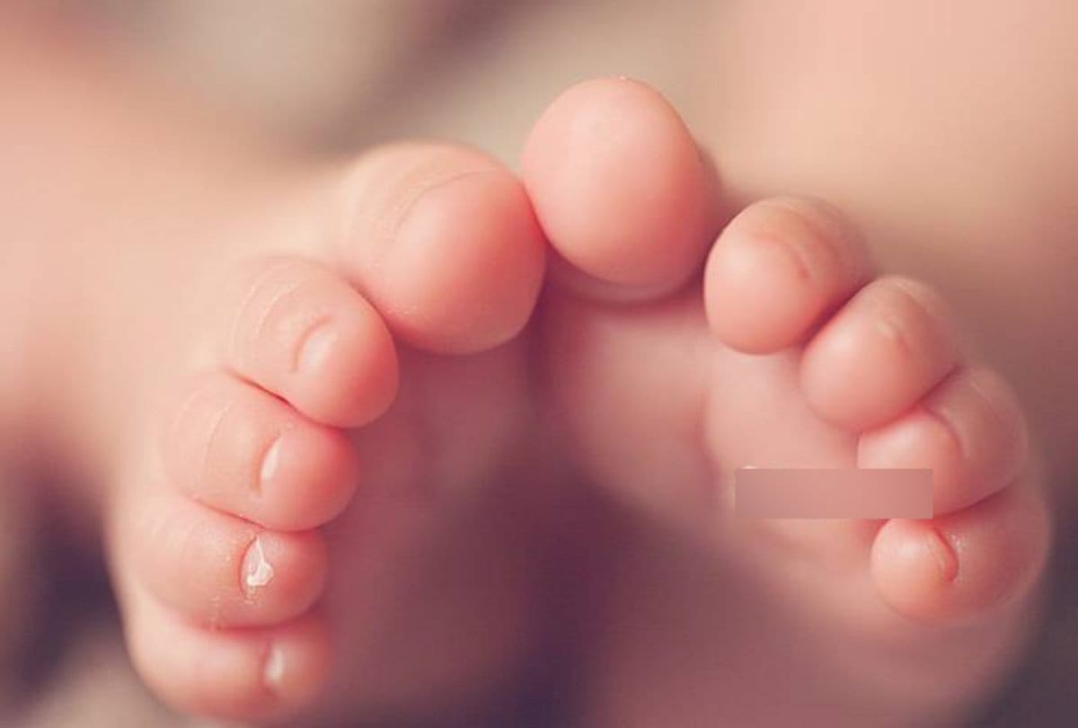 three days girl child thrown by parents in panchkula