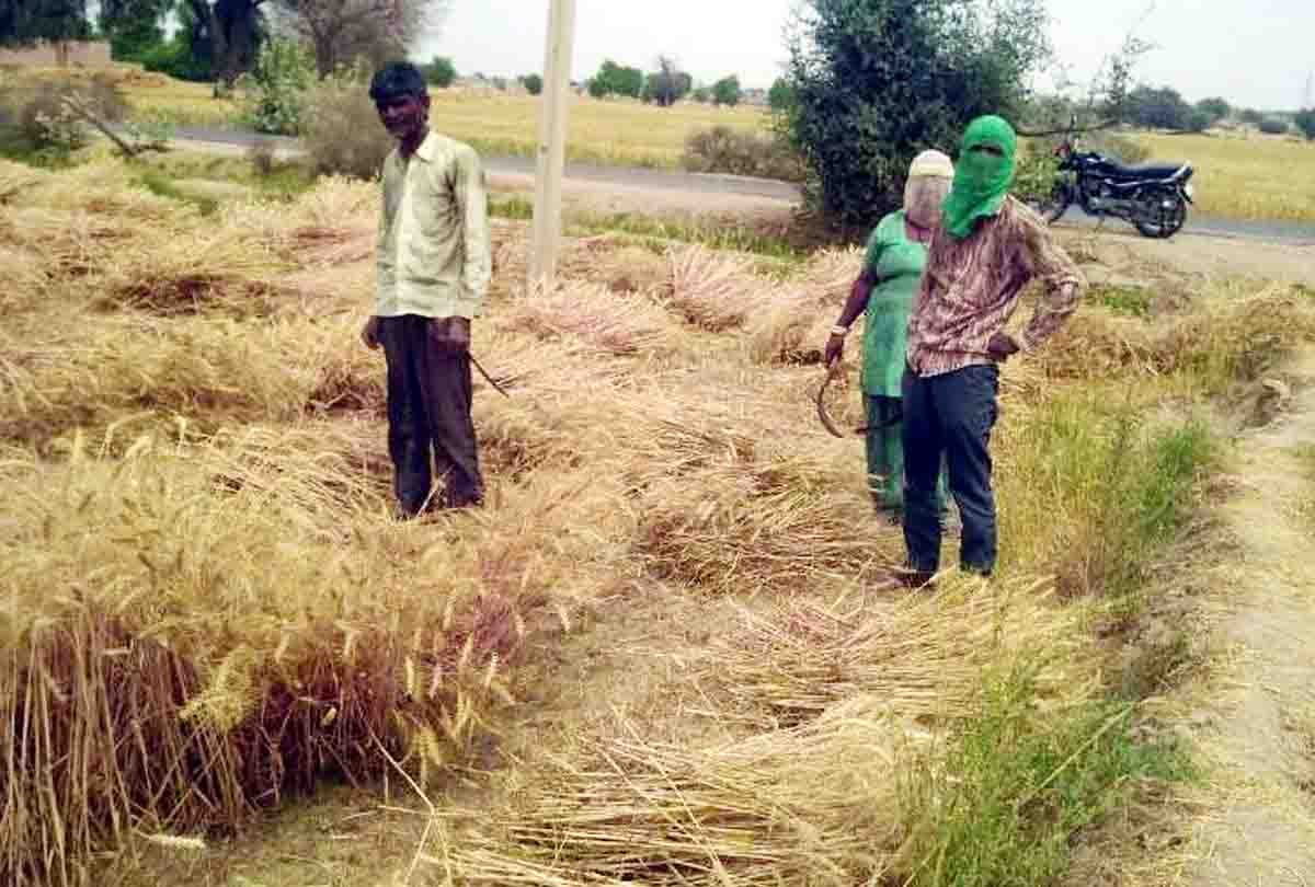Meteorological Department warning for peoples