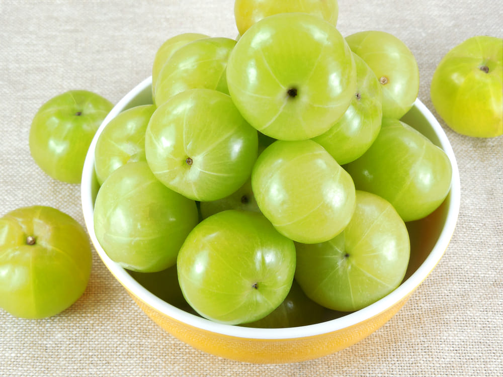 empty stomach immune boosting foods to prevent infection