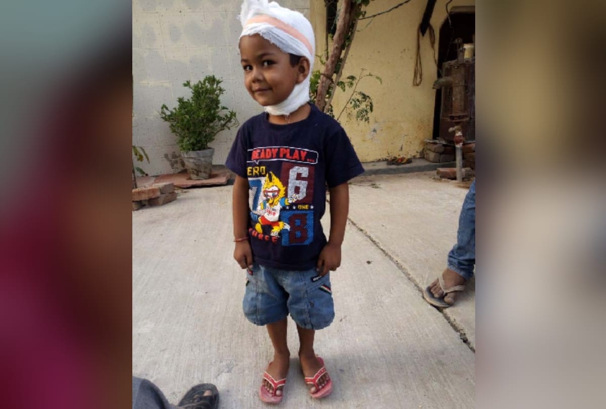 heavy storm took grandmother life in saving her grandson in delhis burari