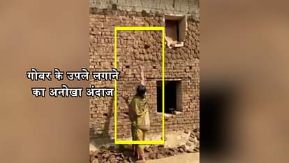 VIRAL VIDEO OF GIRL AIMING DUNG CAKES ON WALL