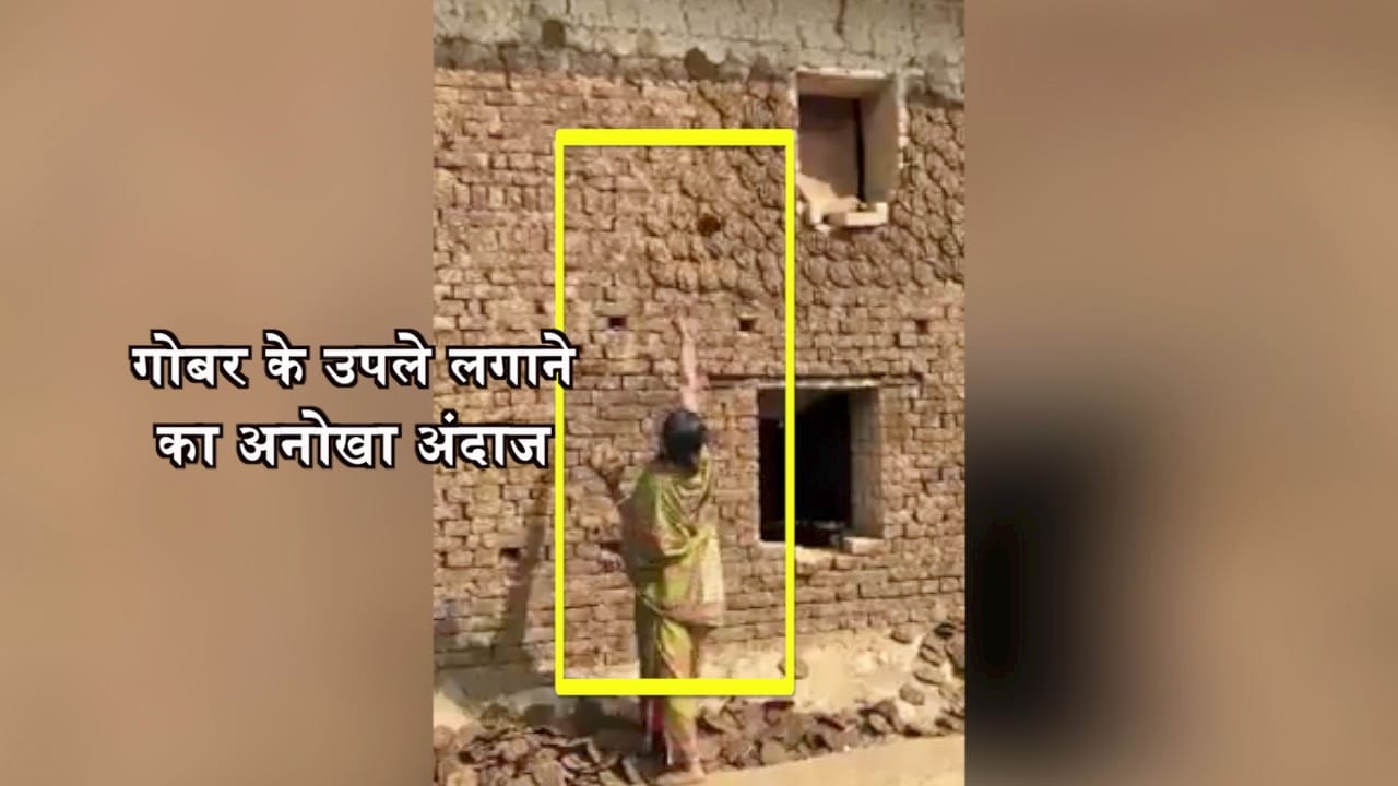 वायरल वीडियो