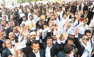 Female lawyer, 61 percent voting