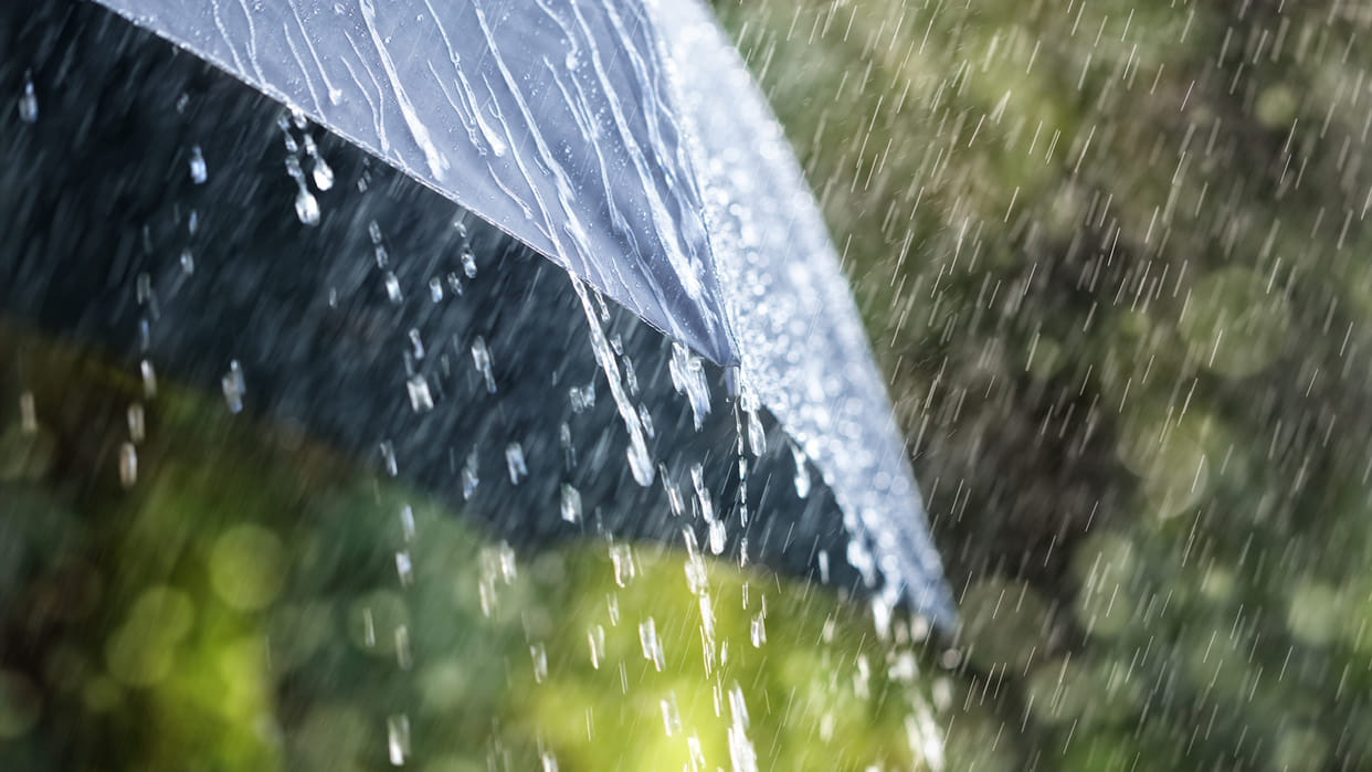 Weather Update: cherrapunji made another record more than 972mm of rain in a day