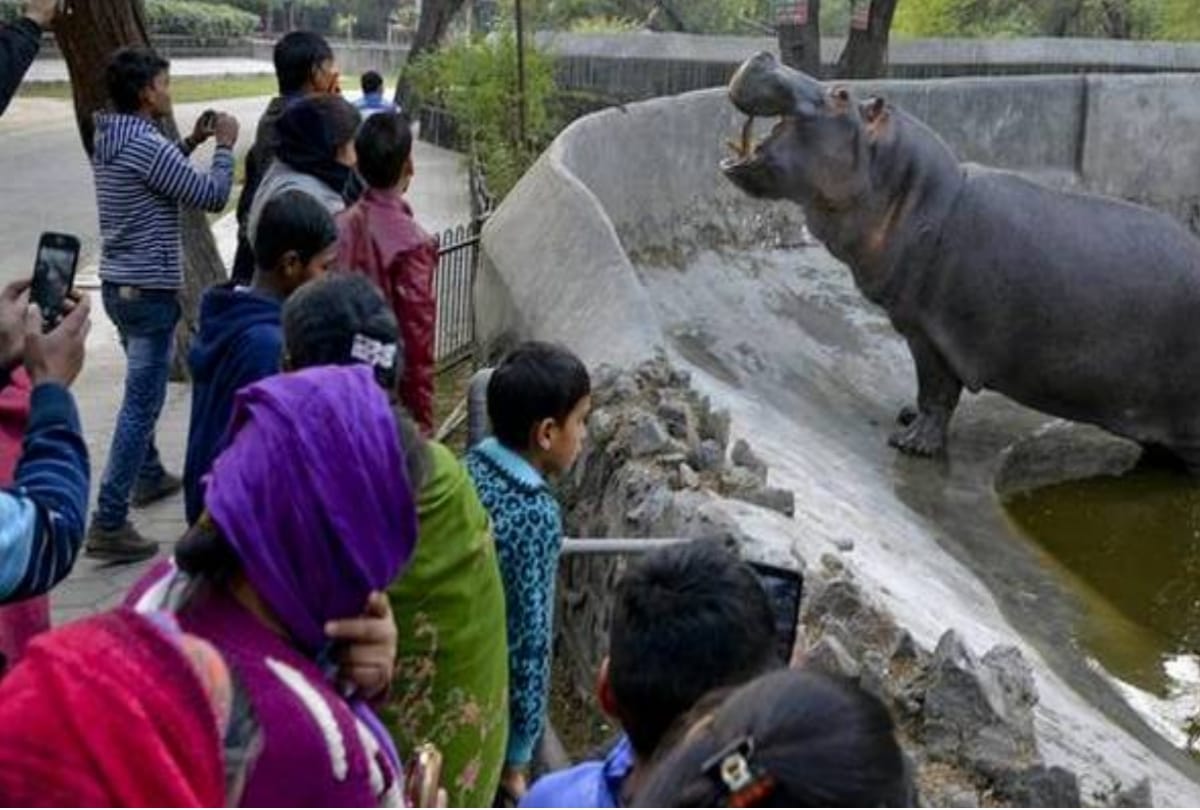 on mothers day delhi zoo to get feeding rooms for mothers