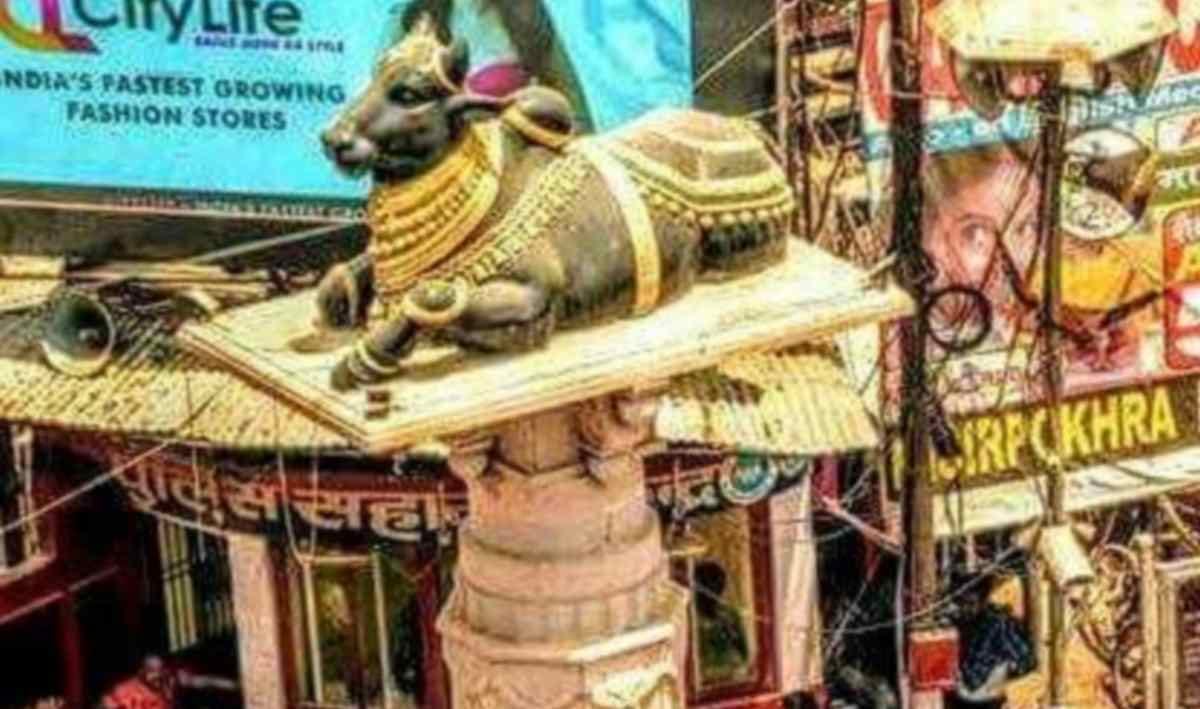 Nandi gave direction to devotee to kashi vishwanath temple