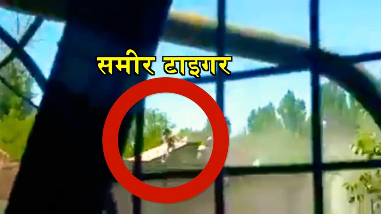 समीर टाइगर के एनकाउंटर का वीडियो