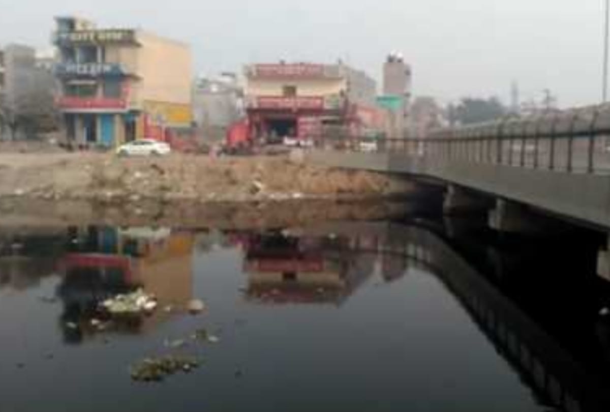 woman dead body found in pieces in poly bags from drain of delhi read full story