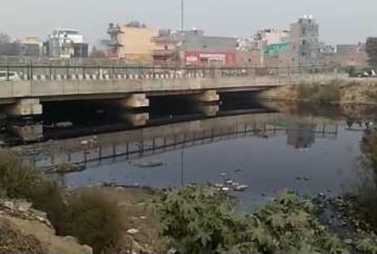 woman dead body found in pieces in poly bags from drain of delhi read full story