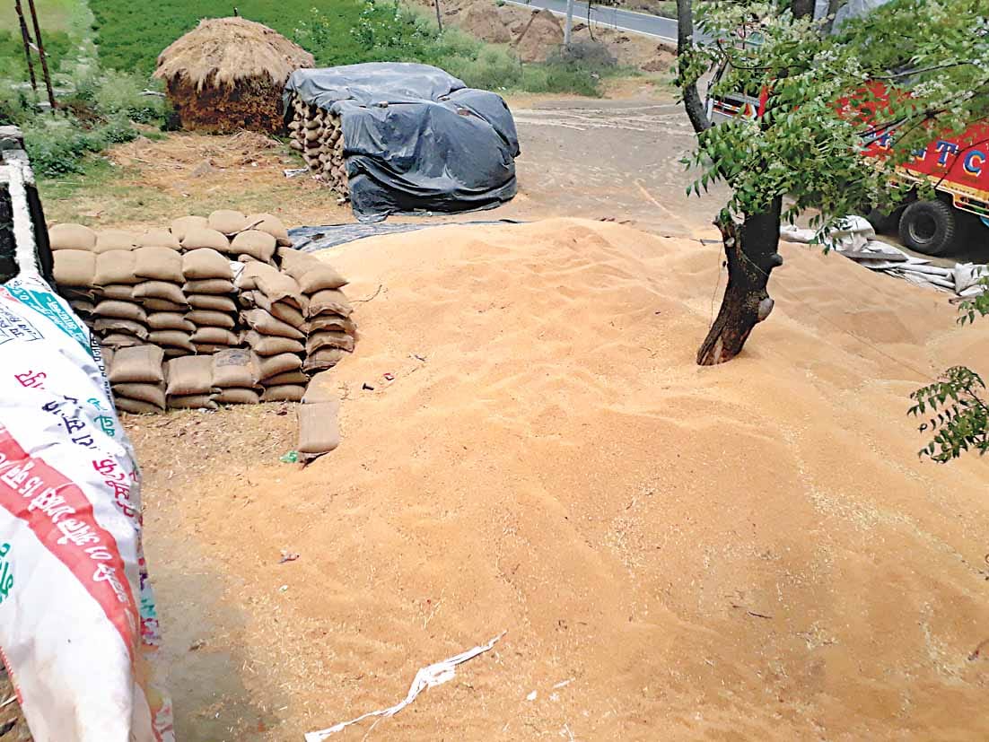 sector 39 mandi construction work not completed till the date, ignorance of high court order