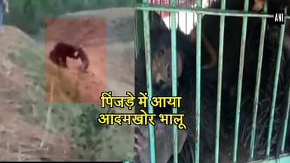 FOREST deprtment controlbear who mauled a man to death due to trying to click selfie with bear 