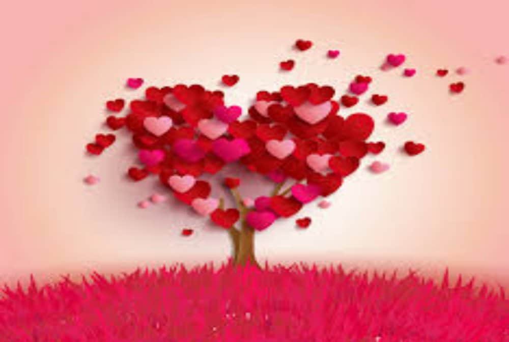 School in China gives love leave to single teachers so they can spend time with their partners