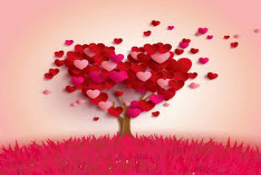 Girls of these zodiac signs are very special in married life