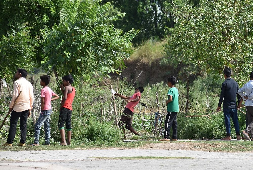 girl injured in the attack of dogs