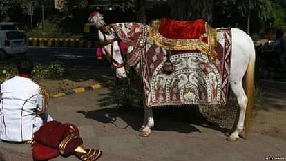 Groom will not use horse for marriage in bhopal Of uttar pradesh 