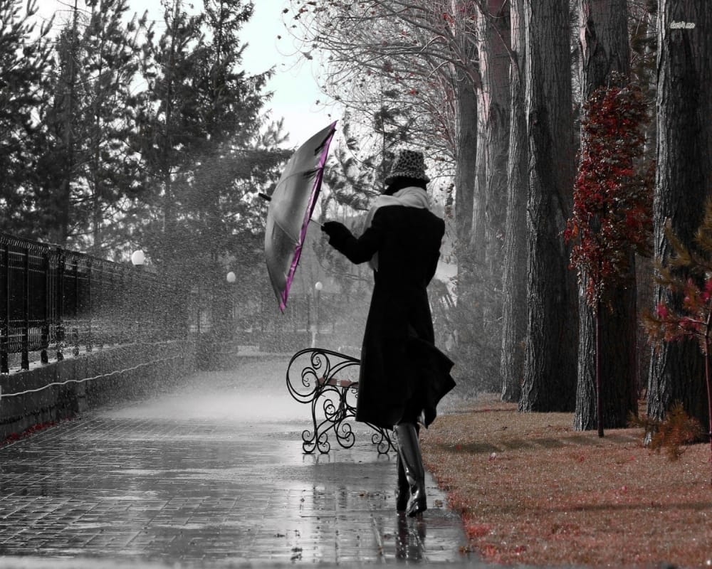 The Best Ways to Protect Yourself in a Thunderstorm