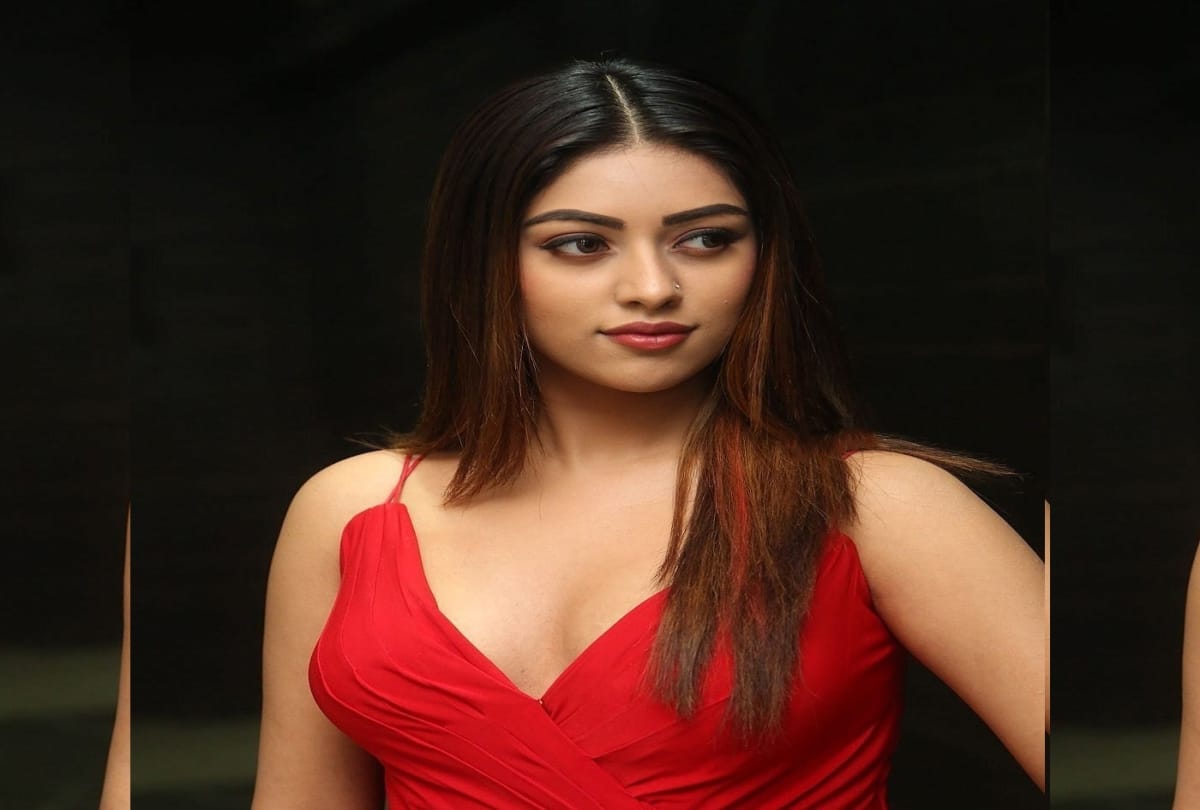 this south actress is so bold and beautiful than Priya prakash varrior  