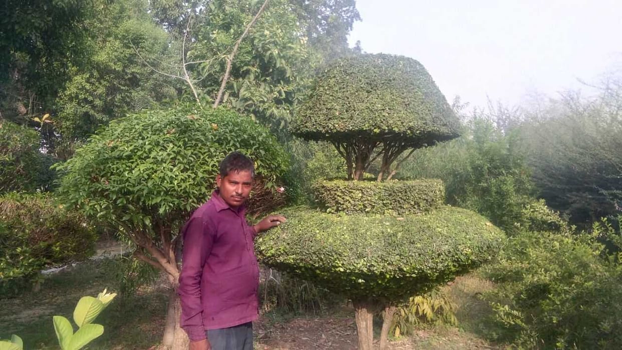 राम बचन ने छोटी उम्र में किताब छोड़, पौधों को बनाया दोस्त