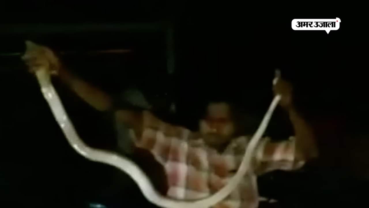 सांप के काटने से युवक की मौत
