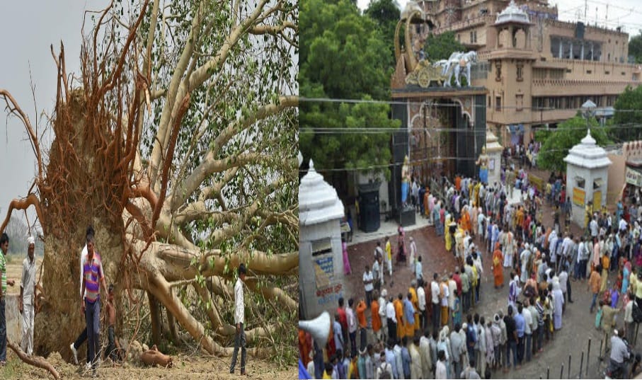 due to the storm in mathura, the crowd of devotees fell short 
